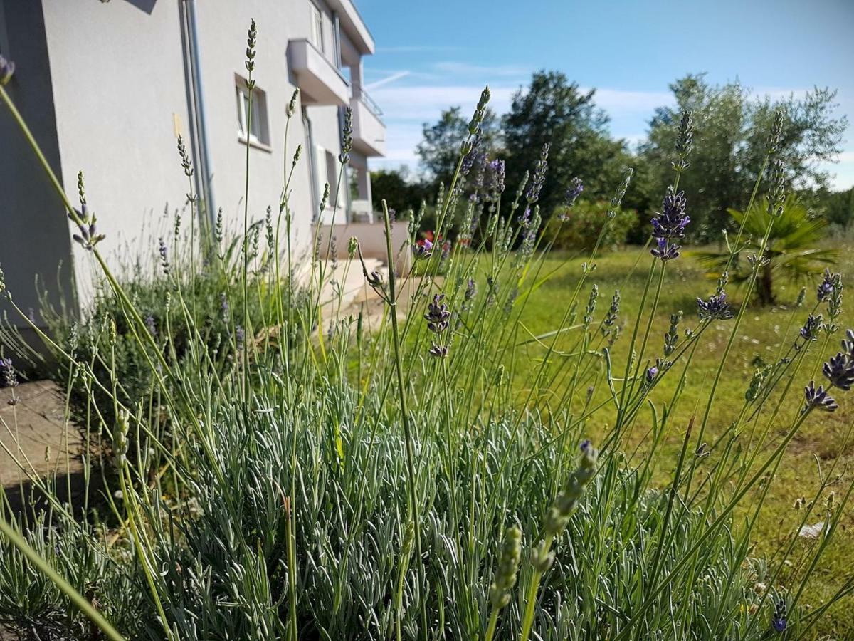 Apartment Vitalia 2+2 Πόρετς Εξωτερικό φωτογραφία